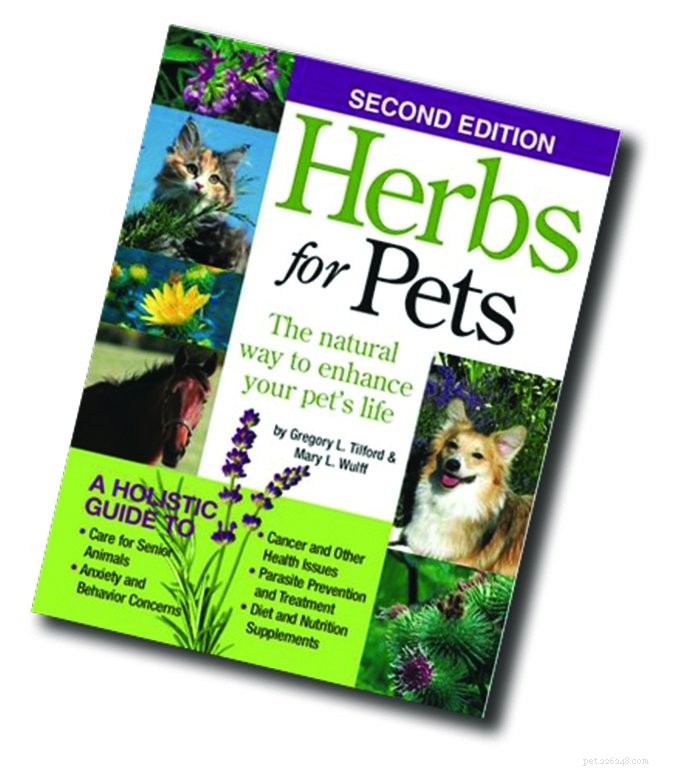 Pomozte léčit svého psa běžnými bylinkami