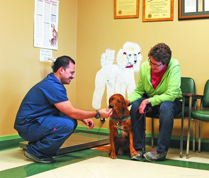 Udělejte z návštěv veterináře méně děsivé
