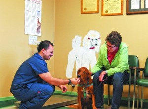 Udělejte z návštěv veterináře méně děsivé