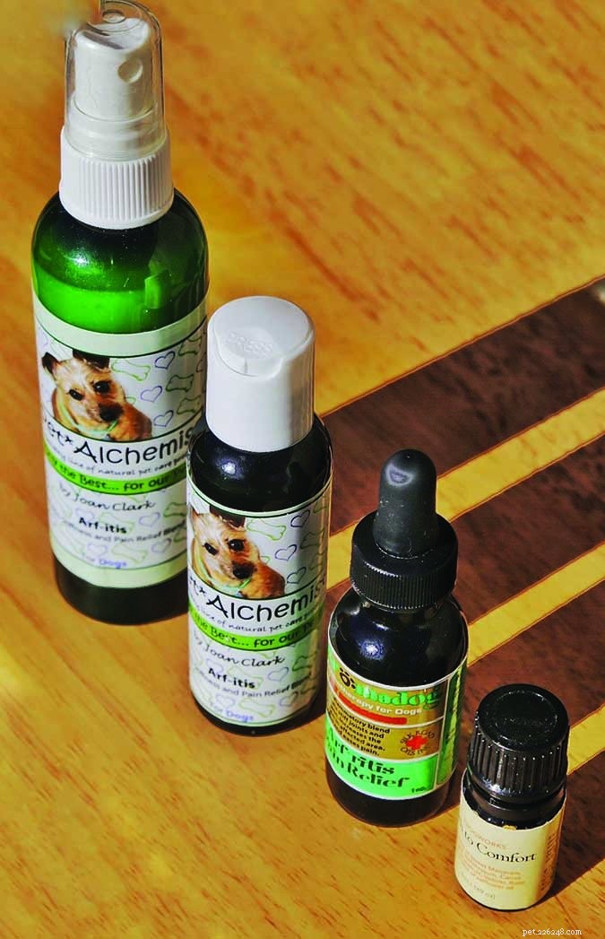 L aromathérapie pour le traitement de l arthrite de votre chien