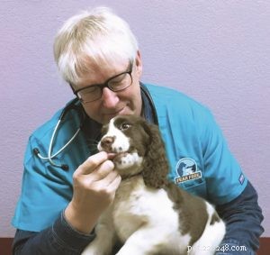 Cuidados veterinários sem medo