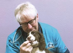 Ветеринарная помощь без страха