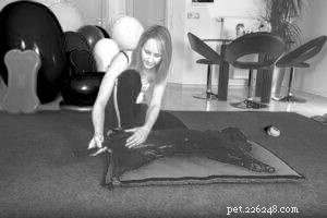 Instrução de massagem para cães
