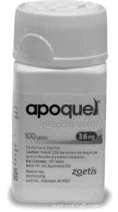 획기적인 개 알레르기 약:Apoquel 및 Cytopoint