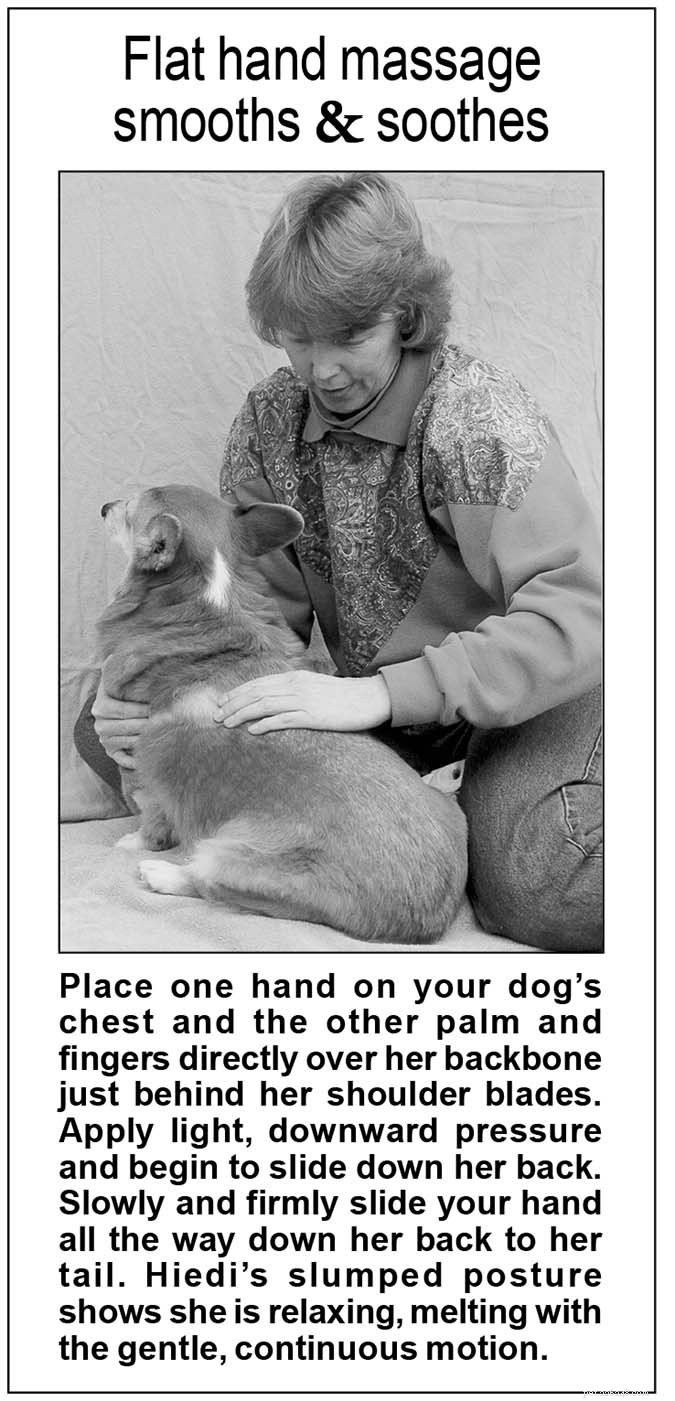 Tecniche di massaggio alla schiena per cani