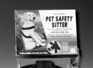Bezpečnost auta pro psy