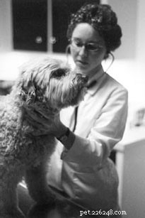 Акупунктура собак – акупрессура и гомеопатия