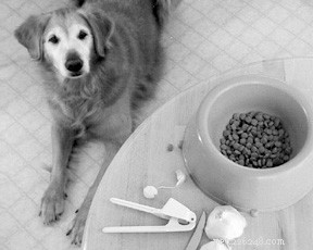 Mnoho výhod česneku pro vašeho psa