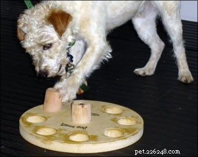 Interaktivní hračky pro psy