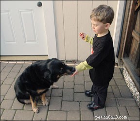 Seus filhos devem ajudar a treinar o cão