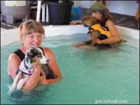 Hidroterapeutas caninos