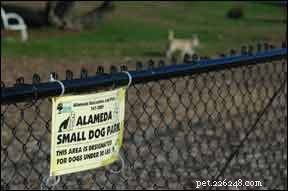 Exemplo de regras do parque para cães