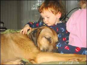 Enseigner aux enfants à aimer les chiens dès leur plus jeune âge
