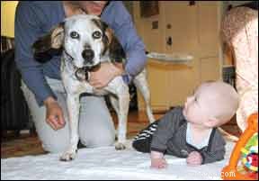 Kinderen van jongs af aan leren van honden te houden