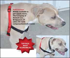 Examen du produit de harnais anti-traction pour chien