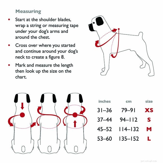 Recommandation de Whole Dog Journal sur le harnais de sécurité automobile