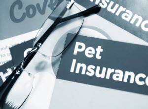 犬のためのペット保険 