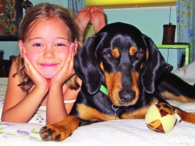 Psi a děti:Jak je udržet v bezpečí
