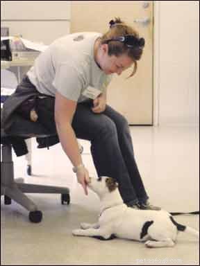 Come un intenso programma di modifica del comportamento ha salvato la vita a un cucciolo