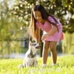 The Puppy Socialization Exposure Checklist