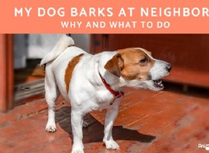 Min hund skäller på grannarna