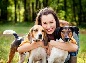 As cinco liberdades do bem-estar animal