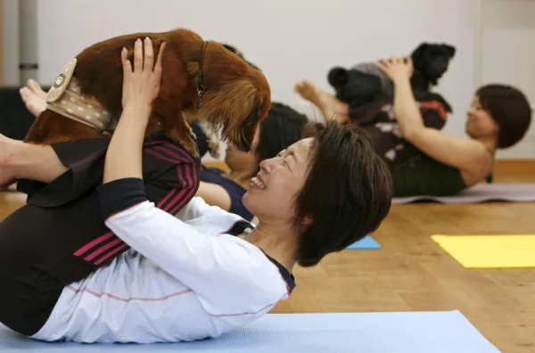 Yoga pour chiens