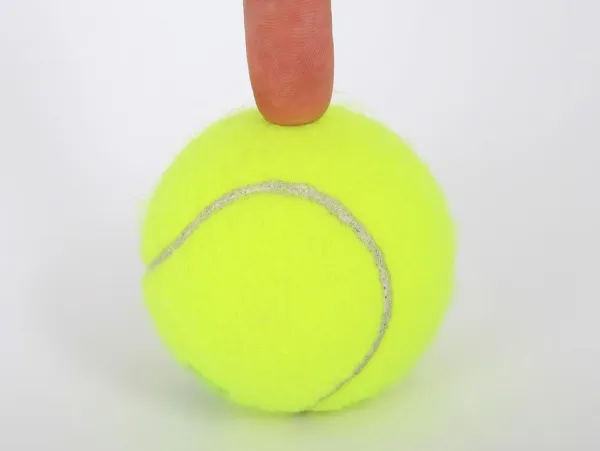 Zijn tennisballen slecht voor honden? 
