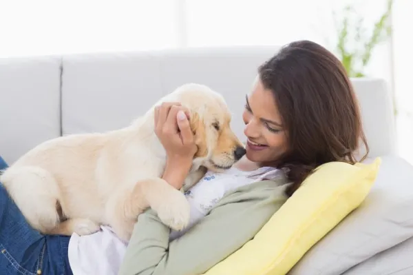 5 erros comuns que você comete ao repreender um cachorro