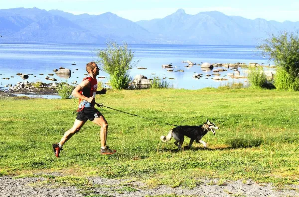 Starta Canicross-träning med din hund