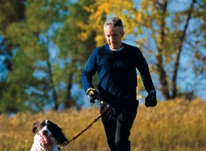 Starta Canicross-träning med din hund