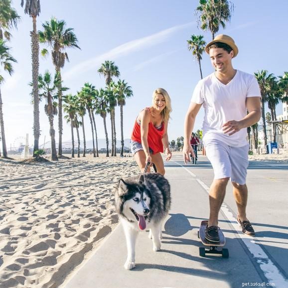 10 причин, почему вы должны выгуливать собаку