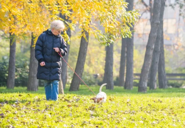 10 raisons pour lesquelles vous devriez promener votre chien