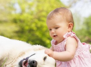 Tipy, jak předejít žárlivosti mezi psem a dítětem