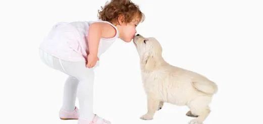 Conseils pour prévenir la jalousie entre un chien et un enfant