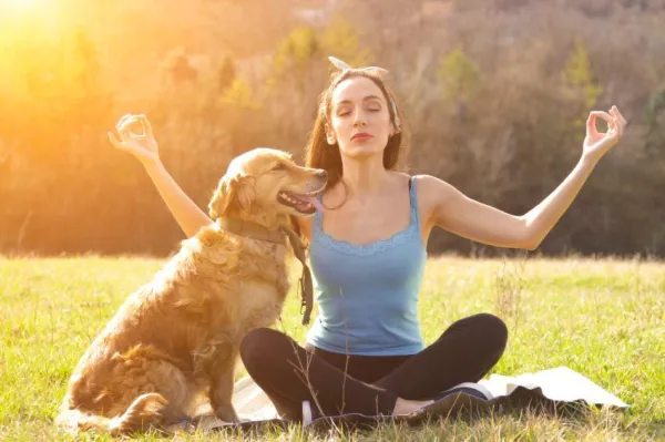 개가 스트레스를 받고 있다는 10가지 신호