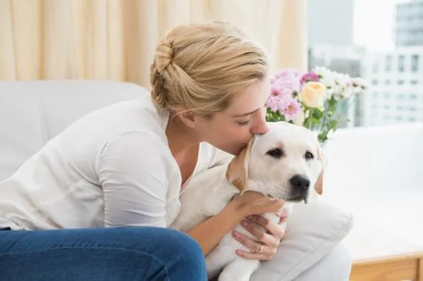 Maak een positieve dagelijkse routine voor uw hond