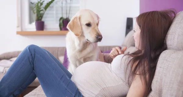 Как познакомить собаку с новорожденным