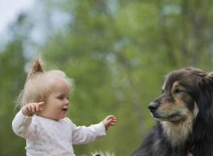 Så presenterar du din hund för ditt nya barn