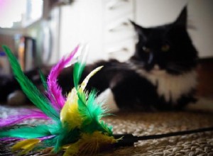 DIY猫用おもちゃ 
