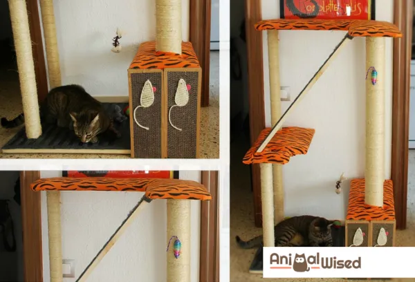 Hur man gör ett hemmagjordt skrapor för katter