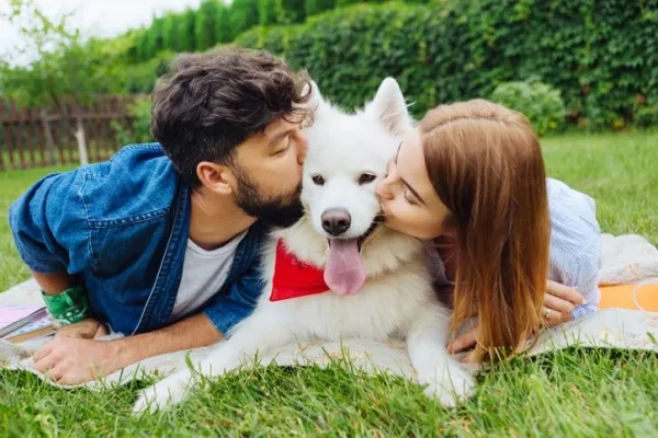 Любят ли собаки поцелуи?