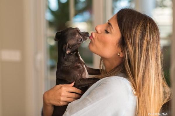 Любят ли собаки поцелуи?