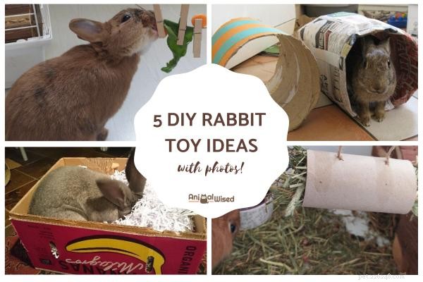 5 DIY nápadů na hračky pro králíky