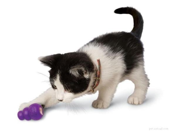 Os melhores brinquedos para dispensar petiscos para gatos