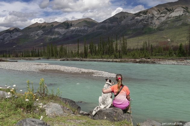 Mohu vzít svého psa do národních parků v Kanadě?