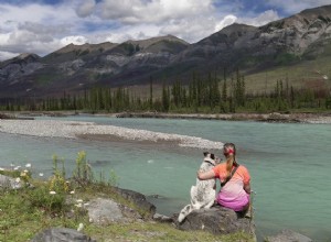 Posso levar meu cachorro para parques nacionais no Canadá?