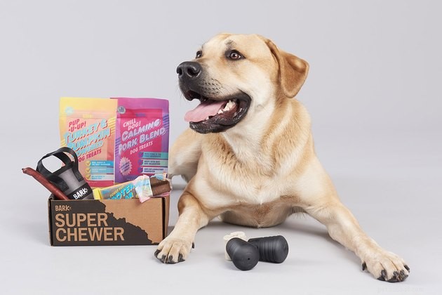 De beste abonnementsboxen voor honden in 2022