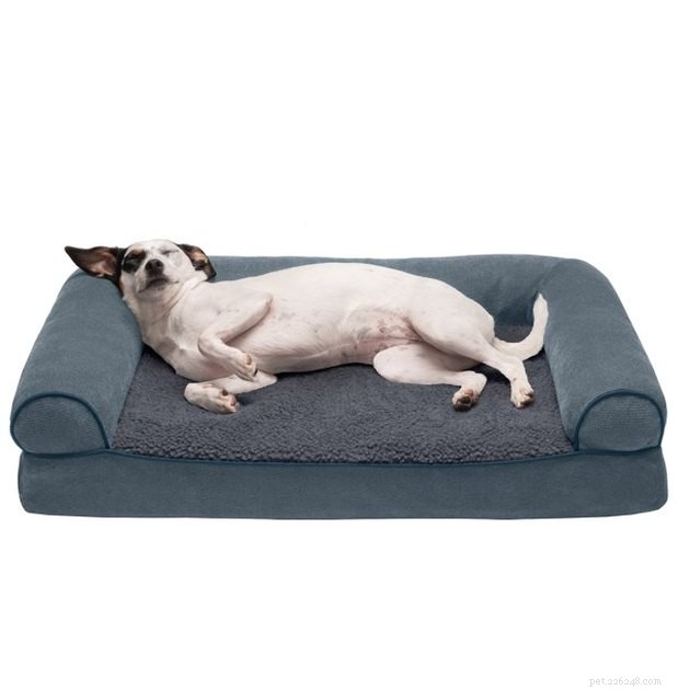 Лучшие диваны-кровати для собак в 2022 году