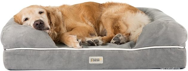 Лучшие диваны-кровати для собак в 2022 году